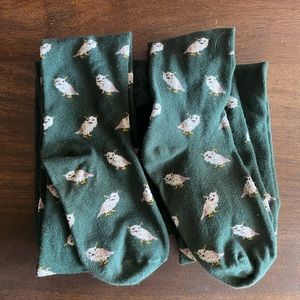 Fun whimsical owl print tights